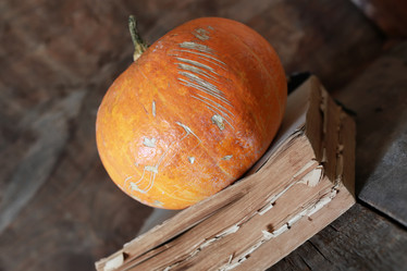 Similar image 13055558