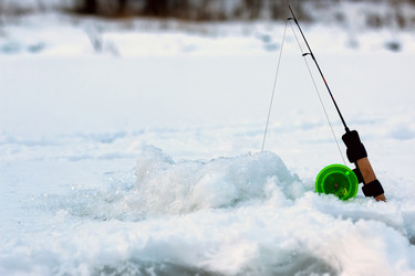 Similar image 13056013