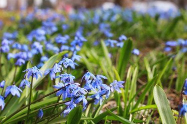 Similar image 13055521