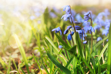 Similar image 13055559