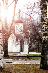 Similar image 13040462