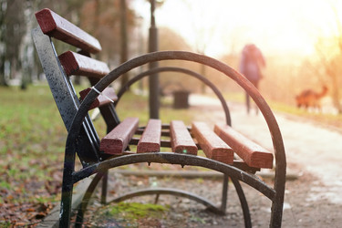 Similar image 13040352