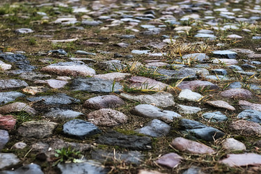 Similar image 13054803