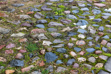 Similar image 13054839