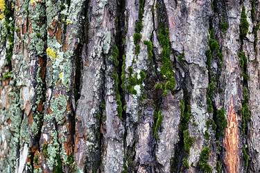 Similar image 13055023