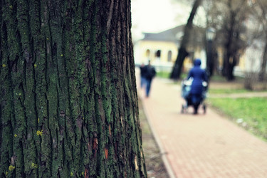 Similar image 13055143