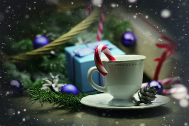 Similar image 13054625