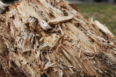 Similar image 13056052