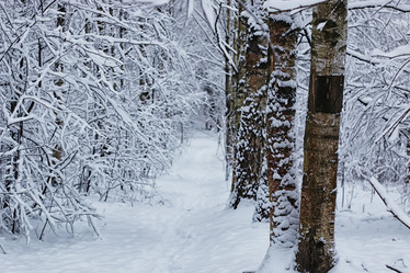 Similar image 13056152