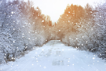 Similar image 13056372