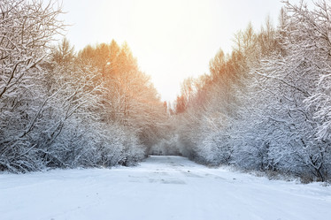 Similar image 13056394