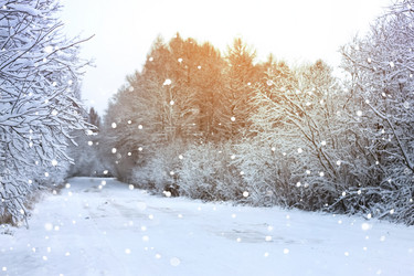 Similar image 13056435