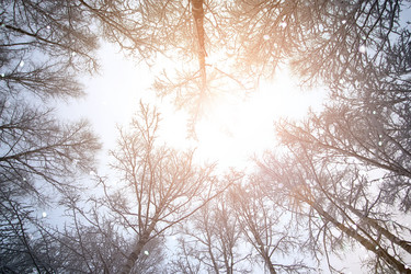 Similar image 13056991