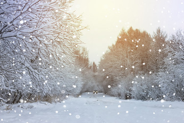 Similar image 13057011