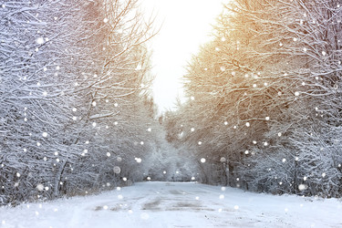 Similar image 13056568