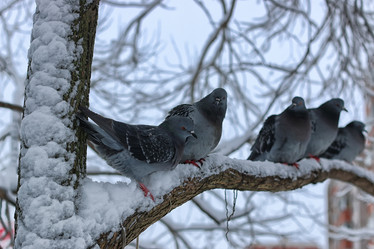 Similar image 13057308