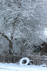 Similar image 13064726