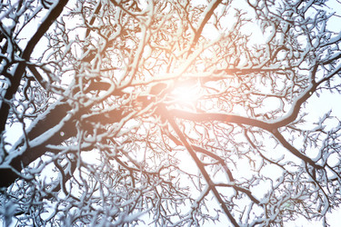 Similar image 13064922