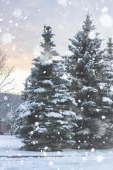 Similar image 13040225