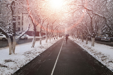 Similar image 13054204