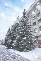 Similar image 13054426