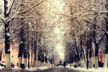 Similar image 13054586