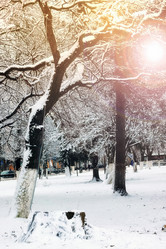 Similar image 13054805