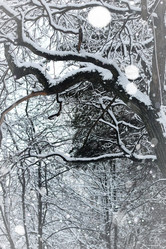 Similar image 13054882