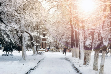 Similar image 13054904