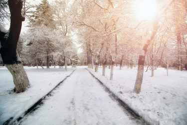 Similar image 13054942