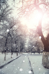 Similar image 13054963