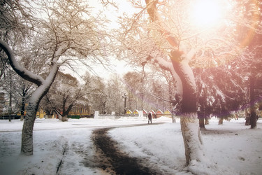 Similar image 13055024