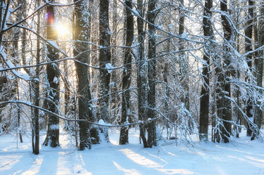 Similar image 13056851