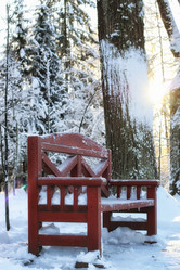 Similar image 13057249