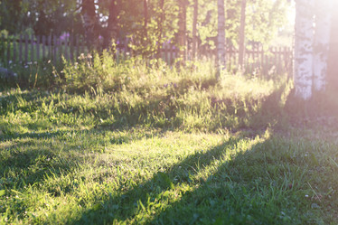 Similar image 13057627