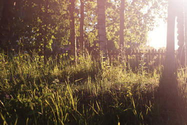 Similar image 13064686