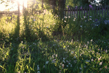 Similar image 13064868