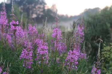 Similar image 13040425