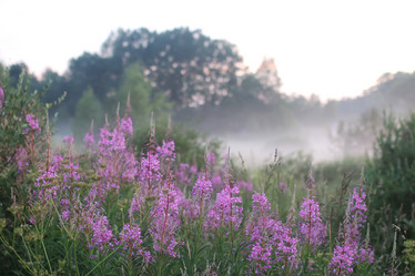 Similar image 13040354