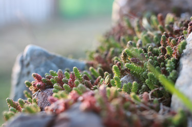 Similar image 13054330