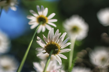 Similar image 13054427