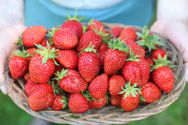 Similar image 13054627