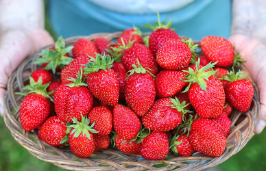 Similar image 13054666