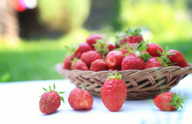 Similar image 13054806