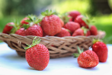 Similar image 13055065