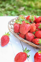 Similar image 13055162