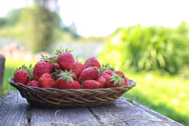 Similar image 13055244