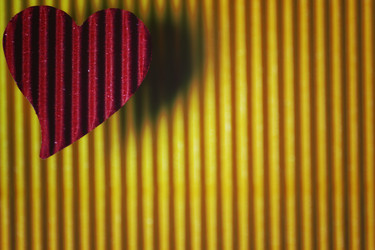 Similar image 13056753