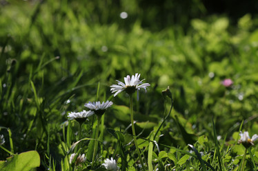 Similar image 13055385