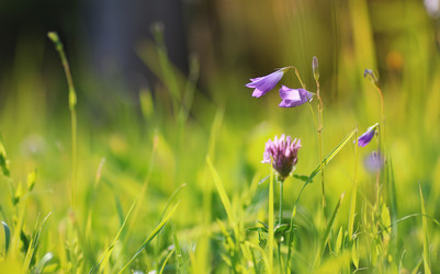 Similar image 13055425